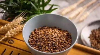 “大麥泡製，簡單三步！”