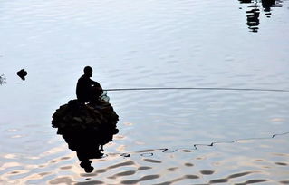 釣魚的時候，導致死窩的4大“誘因”是什麽你知道嗎？