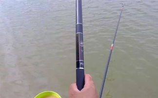 抛竿釣魚技巧:海竿釣魚技巧大全