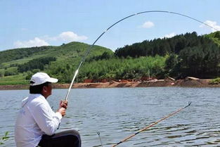 釣鳊魚技巧
